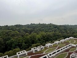 Blk 470 Segar Gardens (Bukit Panjang), HDB 5 Rooms #496301861